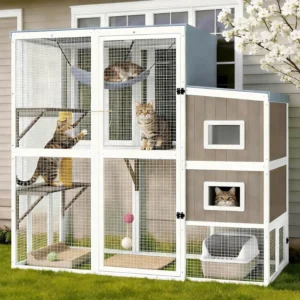 Large Outdoor Walk-in Catio