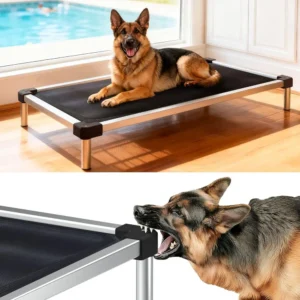 Elevated Bed for Large Dogs